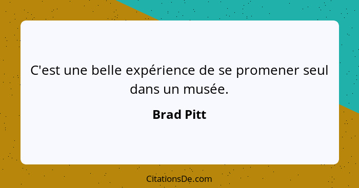 C'est une belle expérience de se promener seul dans un musée.... - Brad Pitt