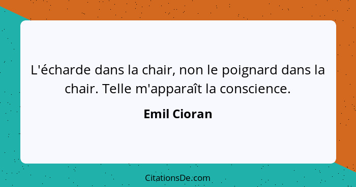 L'écharde dans la chair, non le poignard dans la chair. Telle m'apparaît la conscience.... - Emil Cioran