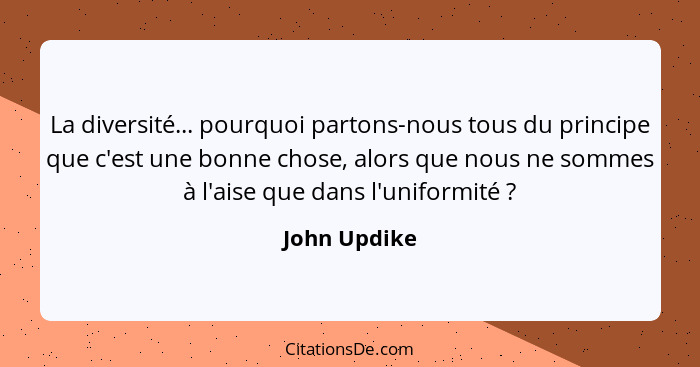 La diversité... pourquoi partons-nous tous du principe que c'est une bonne chose, alors que nous ne sommes à l'aise que dans l'uniformit... - John Updike