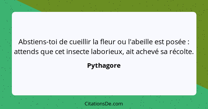 Abstiens-toi de cueillir la fleur ou l'abeille est posée : attends que cet insecte laborieux, ait achevé sa récolte.... - Pythagore