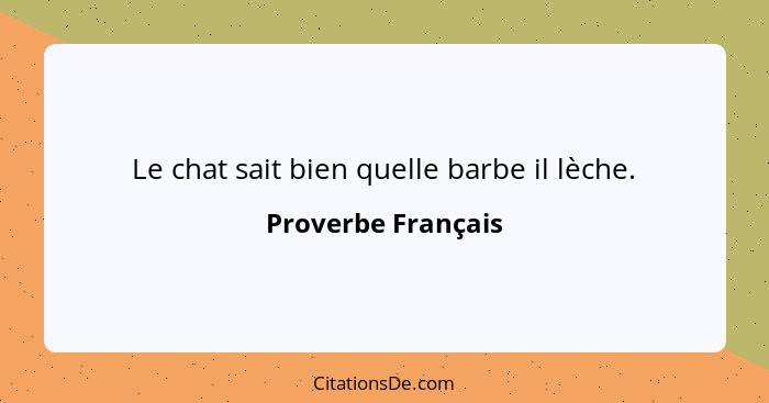 Le chat sait bien quelle barbe il lèche.... - Proverbe Français