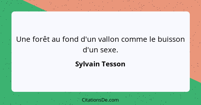 Une forêt au fond d'un vallon comme le buisson d'un sexe.... - Sylvain Tesson