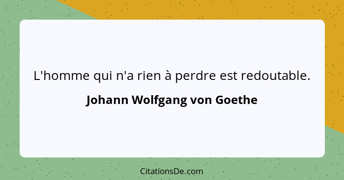 L'homme qui n'a rien à perdre est redoutable.... - Johann Wolfgang von Goethe
