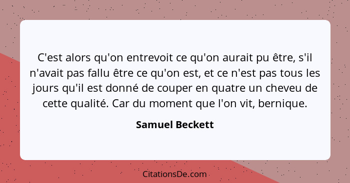 C'est alors qu'on entrevoit ce qu'on aurait pu être, s'il n'avait pas fallu être ce qu'on est, et ce n'est pas tous les jours qu'il e... - Samuel Beckett