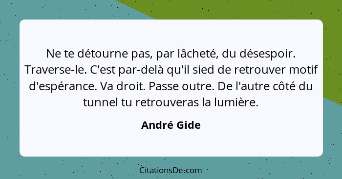 Ne te détourne pas, par lâcheté, du désespoir. Traverse-le. C'est par-delà qu'il sied de retrouver motif d'espérance. Va droit. Passe out... - André Gide