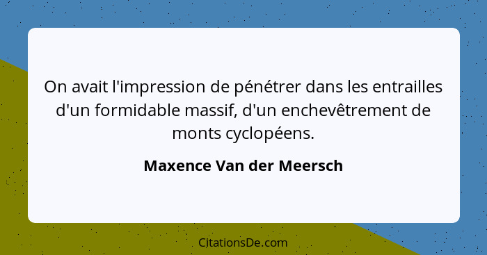 On avait l'impression de pénétrer dans les entrailles d'un formidable massif, d'un enchevêtrement de monts cyclopéens.... - Maxence Van der Meersch