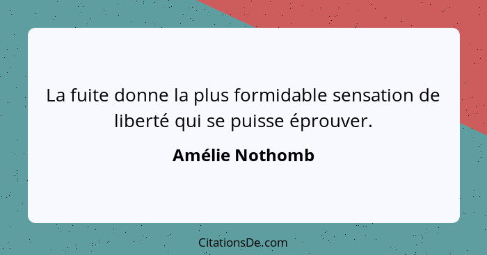La fuite donne la plus formidable sensation de liberté qui se puisse éprouver.... - Amélie Nothomb