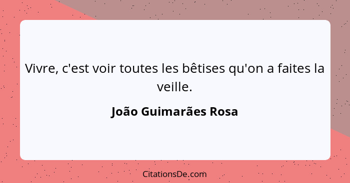 Vivre, c'est voir toutes les bêtises qu'on a faites la veille.... - João Guimarães Rosa