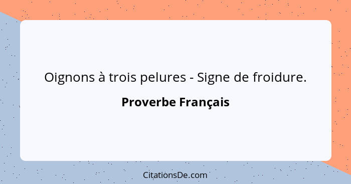 Oignons à trois pelures - Signe de froidure.... - Proverbe Français