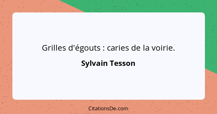 Grilles d'égouts : caries de la voirie.... - Sylvain Tesson