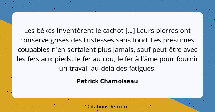 Les békés inventèrent le cachot […] Leurs pierres ont conservé grises des tristesses sans fond. Les présumés coupables n'en sorta... - Patrick Chamoiseau