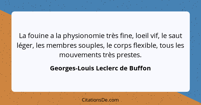 La fouine a la physionomie très fine, loeil vif, le saut léger, les membres souples, le corps flexible, tous les mou... - Georges-Louis Leclerc de Buffon