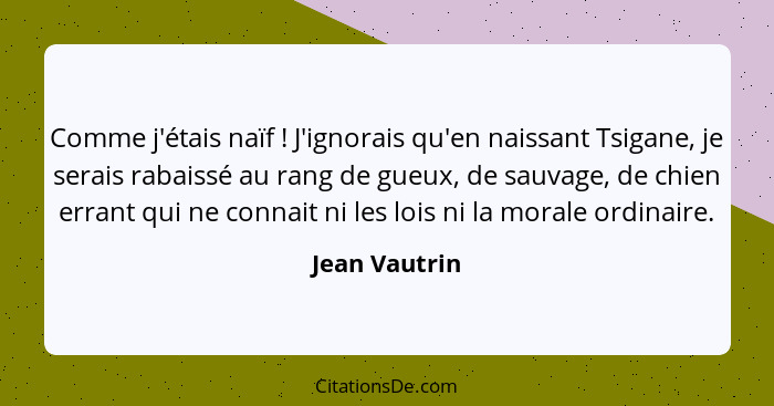 Comme j'étais naïf ! J'ignorais qu'en naissant Tsigane, je serais rabaissé au rang de gueux, de sauvage, de chien errant qui ne co... - Jean Vautrin