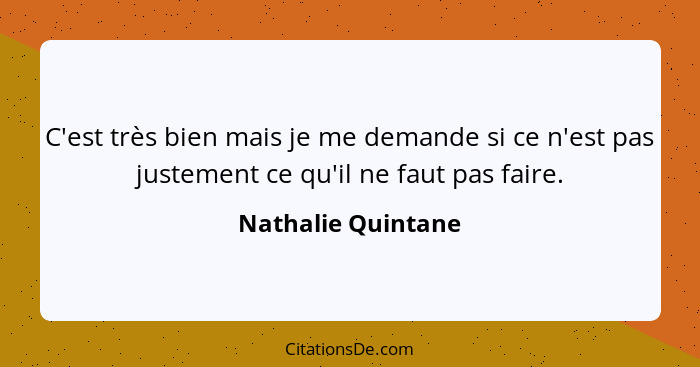 C'est très bien mais je me demande si ce n'est pas justement ce qu'il ne faut pas faire.... - Nathalie Quintane