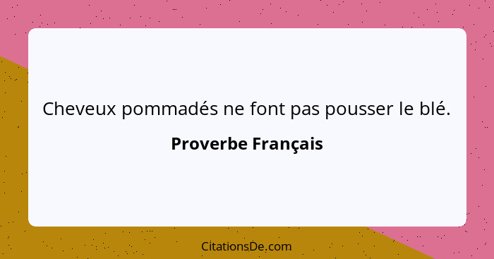 Cheveux pommadés ne font pas pousser le blé.... - Proverbe Français