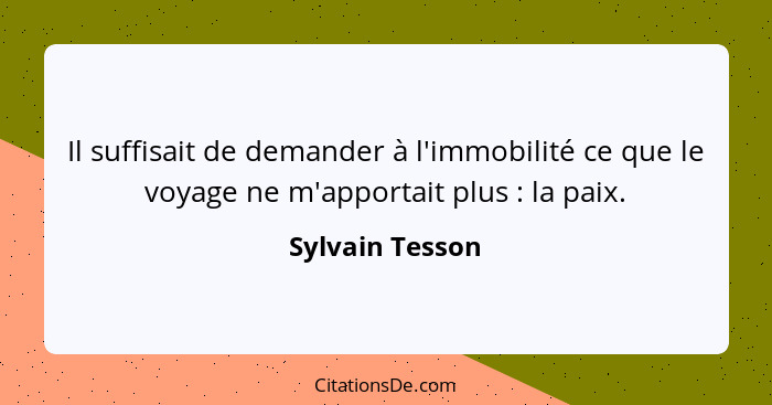 Il suffisait de demander à l'immobilité ce que le voyage ne m'apportait plus : la paix.... - Sylvain Tesson