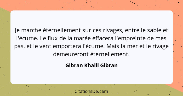 Je marche éternellement sur ces rivages, entre le sable et l'écume. Le flux de la marée effacera l'empreinte de mes pas, et le... - Gibran Khalil Gibran