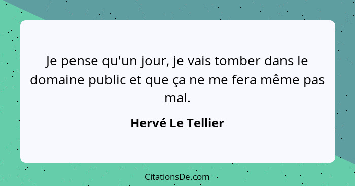 Je pense qu'un jour, je vais tomber dans le domaine public et que ça ne me fera même pas mal.... - Hervé Le Tellier