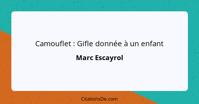 Camouflet : Gifle donnée à un enfant... - Marc Escayrol