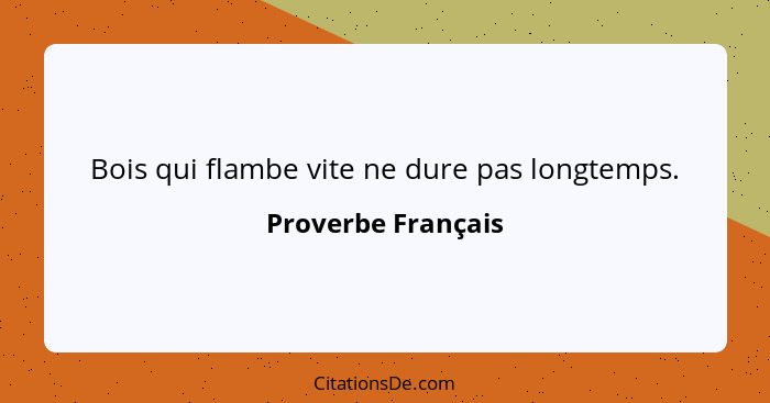 Bois qui flambe vite ne dure pas longtemps.... - Proverbe Français