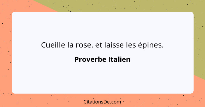 Cueille la rose, et laisse les épines.... - Proverbe Italien