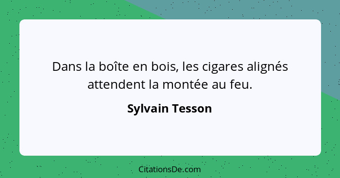 Dans la boîte en bois, les cigares alignés attendent la montée au feu.... - Sylvain Tesson