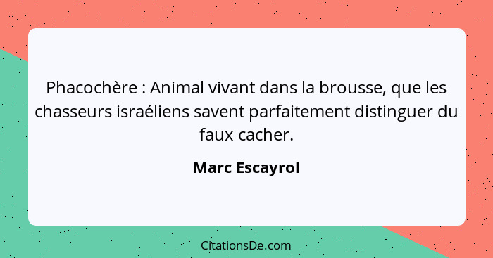 Phacochère : Animal vivant dans la brousse, que les chasseurs israéliens savent parfaitement distinguer du faux cacher.... - Marc Escayrol