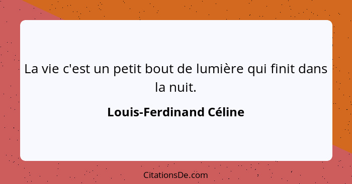 La vie c'est un petit bout de lumière qui finit dans la nuit.... - Louis-Ferdinand Céline