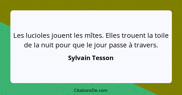 Les lucioles jouent les mîtes. Elles trouent la toile de la nuit pour que le jour passe à travers.... - Sylvain Tesson