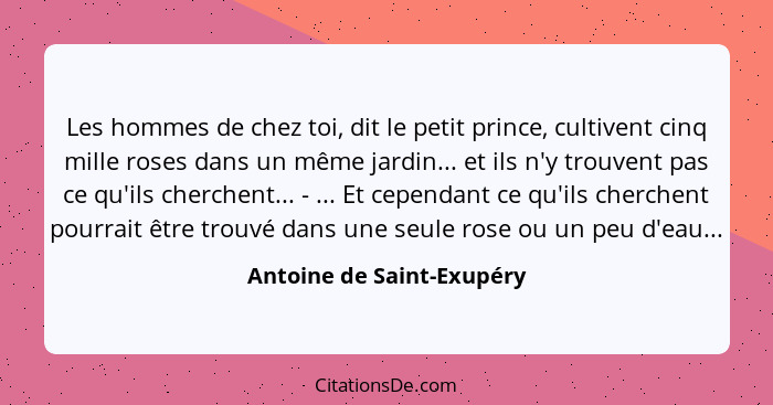 Les hommes de chez toi, dit le petit prince, cultivent cinq mille roses dans un même jardin... et ils n'y trouvent pas ce q... - Antoine de Saint-Exupéry