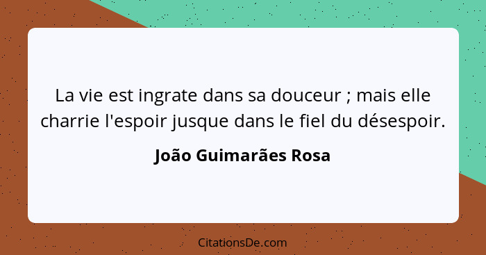 La vie est ingrate dans sa douceur ; mais elle charrie l'espoir jusque dans le fiel du désespoir.... - João Guimarães Rosa