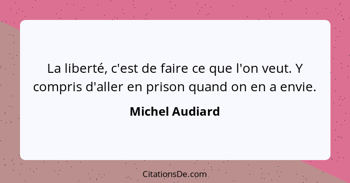 La liberté, c'est de faire ce que l'on veut. Y compris d'aller en prison quand on en a envie.... - Michel Audiard