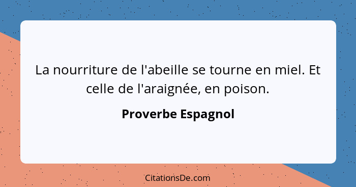 La nourriture de l'abeille se tourne en miel. Et celle de l'araignée, en poison.... - Proverbe Espagnol