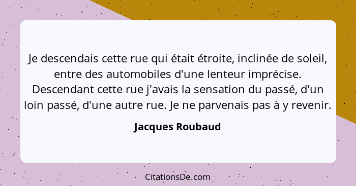 Je descendais cette rue qui était étroite, inclinée de soleil, entre des automobiles d'une lenteur imprécise. Descendant cette rue j... - Jacques Roubaud