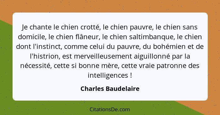 Je chante le chien crotté, le chien pauvre, le chien sans domicile, le chien flâneur, le chien saltimbanque, le chien dont l'inst... - Charles Baudelaire