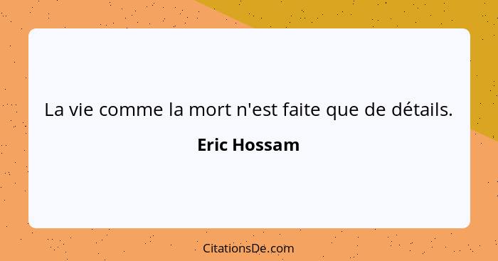 La vie comme la mort n'est faite que de détails.... - Eric Hossam