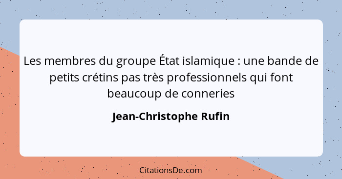 Les membres du groupe État islamique : une bande de petits crétins pas très professionnels qui font beaucoup de conneries... - Jean-Christophe Rufin