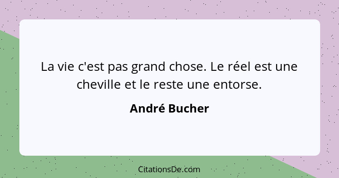 La vie c'est pas grand chose. Le réel est une cheville et le reste une entorse.... - André Bucher