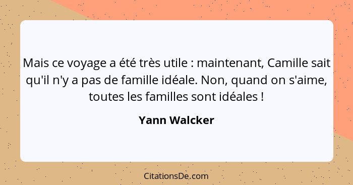 Mais ce voyage a été très utile : maintenant, Camille sait qu'il n'y a pas de famille idéale. Non, quand on s'aime, toutes les fam... - Yann Walcker