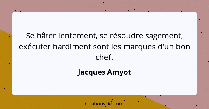 Se hâter lentement, se résoudre sagement, exécuter hardiment sont les marques d'un bon chef.... - Jacques Amyot