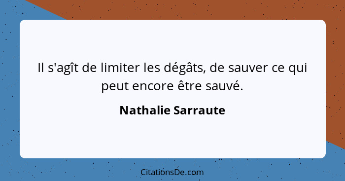 Il s'agît de limiter les dégâts, de sauver ce qui peut encore être sauvé.... - Nathalie Sarraute