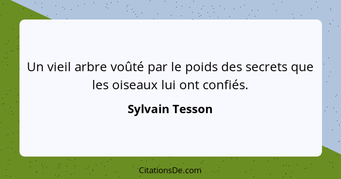 Un vieil arbre voûté par le poids des secrets que les oiseaux lui ont confiés.... - Sylvain Tesson