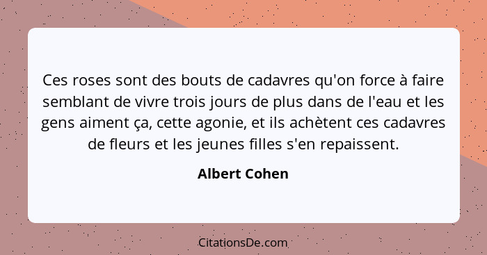 Ces roses sont des bouts de cadavres qu'on force à faire semblant de vivre trois jours de plus dans de l'eau et les gens aiment ça, cet... - Albert Cohen