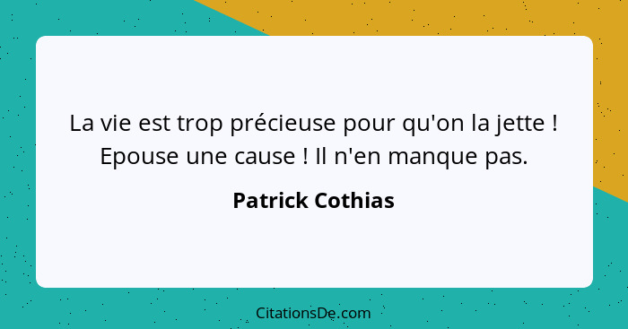 La vie est trop précieuse pour qu'on la jette ! Epouse une cause ! Il n'en manque pas.... - Patrick Cothias