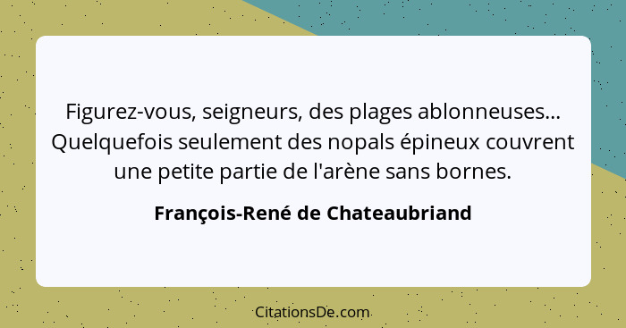 Figurez-vous, seigneurs, des plages ablonneuses... Quelquefois seulement des nopals épineux couvrent une petite parti... - François-René de Chateaubriand