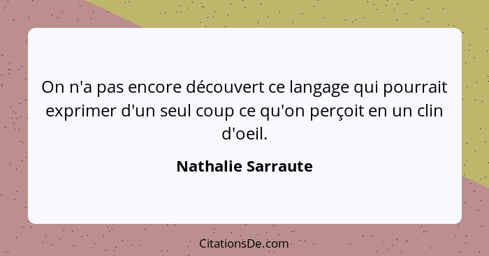 On n'a pas encore découvert ce langage qui pourrait exprimer d'un seul coup ce qu'on perçoit en un clin d'oeil.... - Nathalie Sarraute