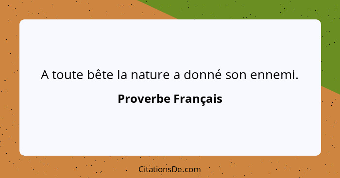 A toute bête la nature a donné son ennemi.... - Proverbe Français