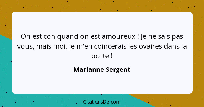 On est con quand on est amoureux ! Je ne sais pas vous, mais moi, je m'en coincerais les ovaires dans la porte !... - Marianne Sergent