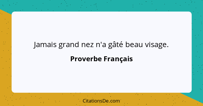 Jamais grand nez n'a gâté beau visage.... - Proverbe Français