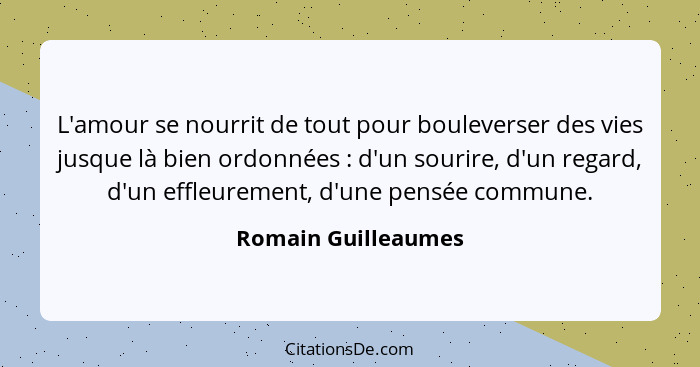 L'amour se nourrit de tout pour bouleverser des vies jusque là bien ordonnées : d'un sourire, d'un regard, d'un effleurement... - Romain Guilleaumes